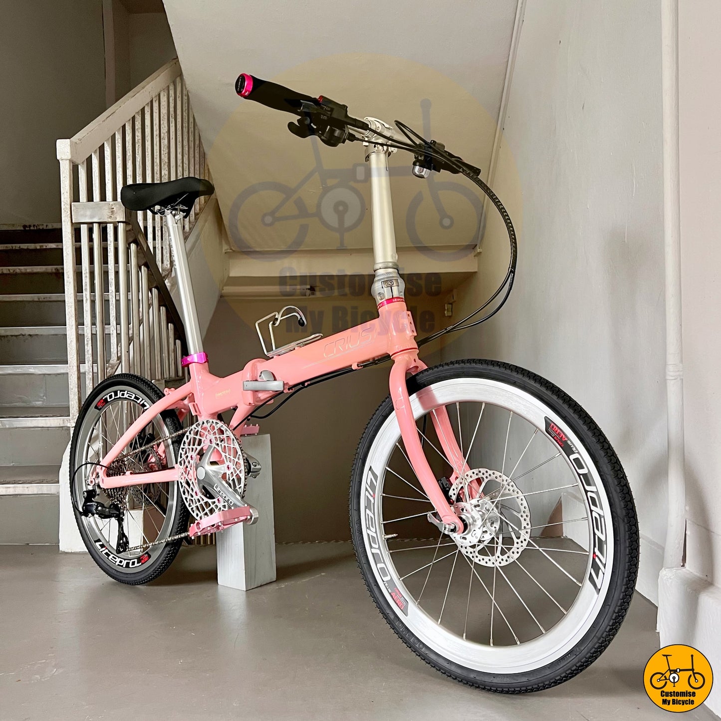 Pink Frame Crius Master 22-Inch Folding Bike β A Perfect Blend of Style & Function