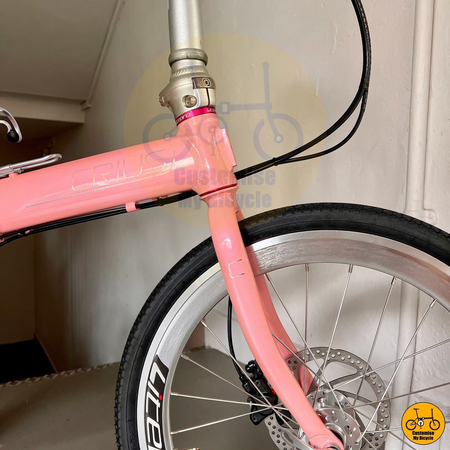 Baby Pink Crius Master 22-Inch Foldable Bicycle β A Feminine Touch with High Performance