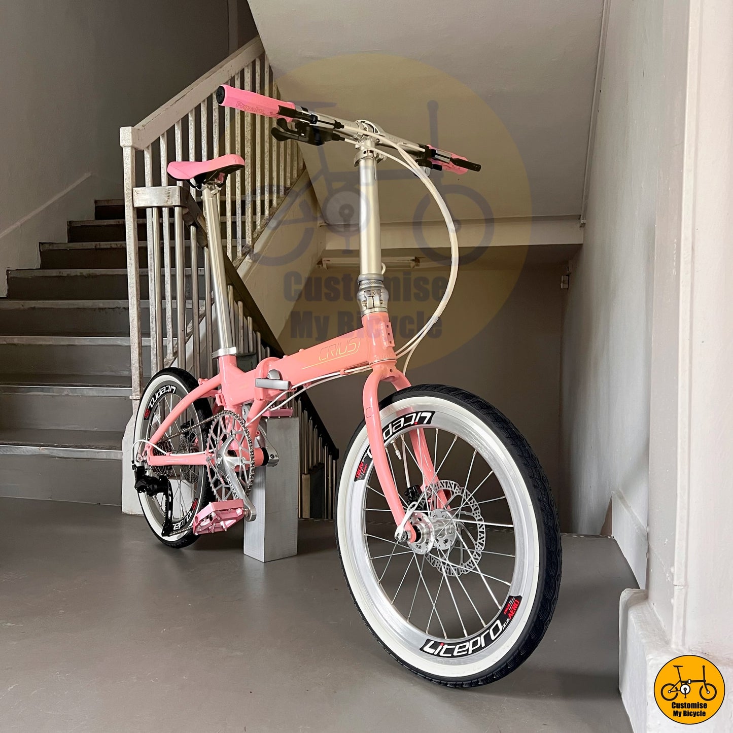 Value-for-Money Crius Master 22-Inch Folding Bike β Budget-Friendly & Durable