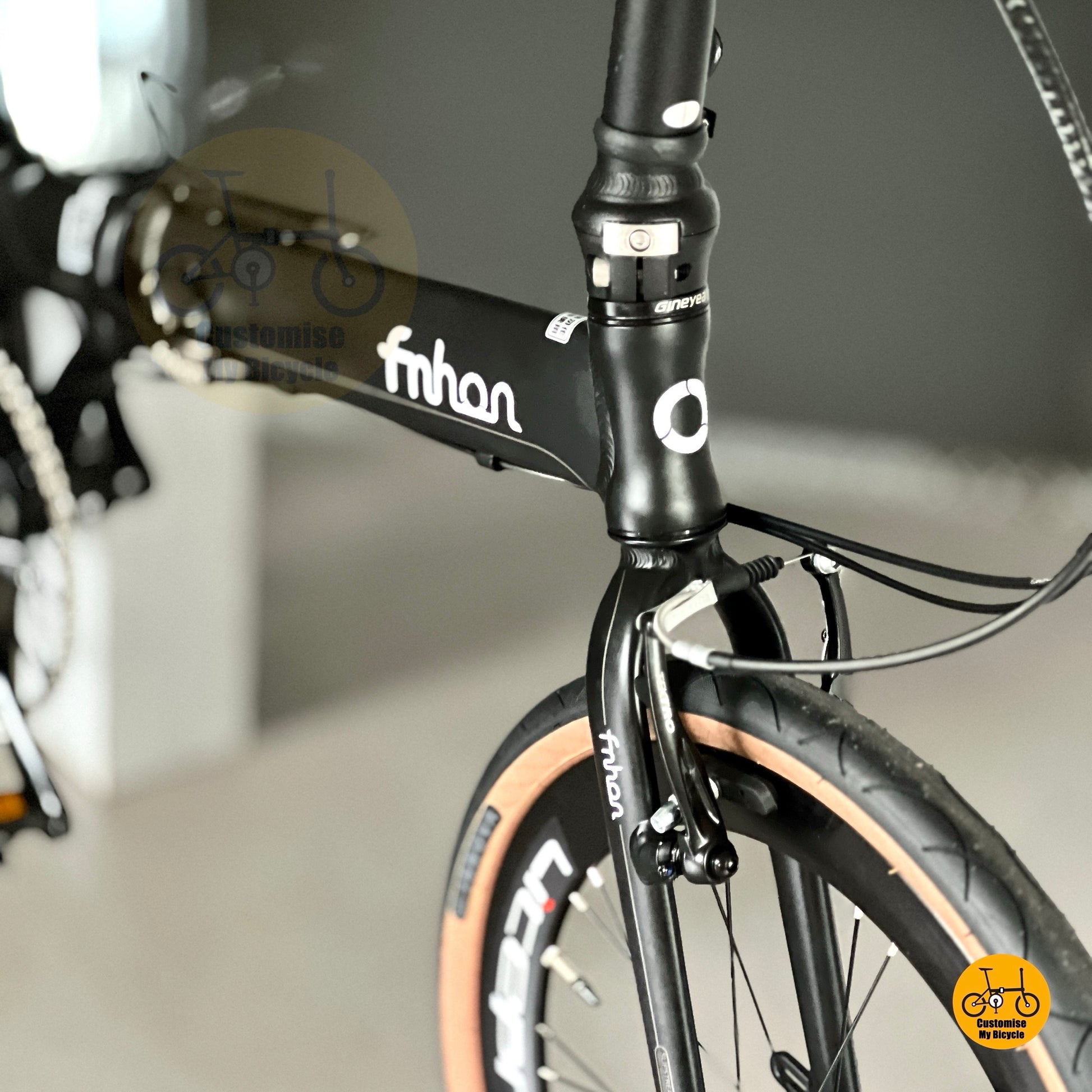 Fnhon Blast Sensah 9 speed folding bike Singapore