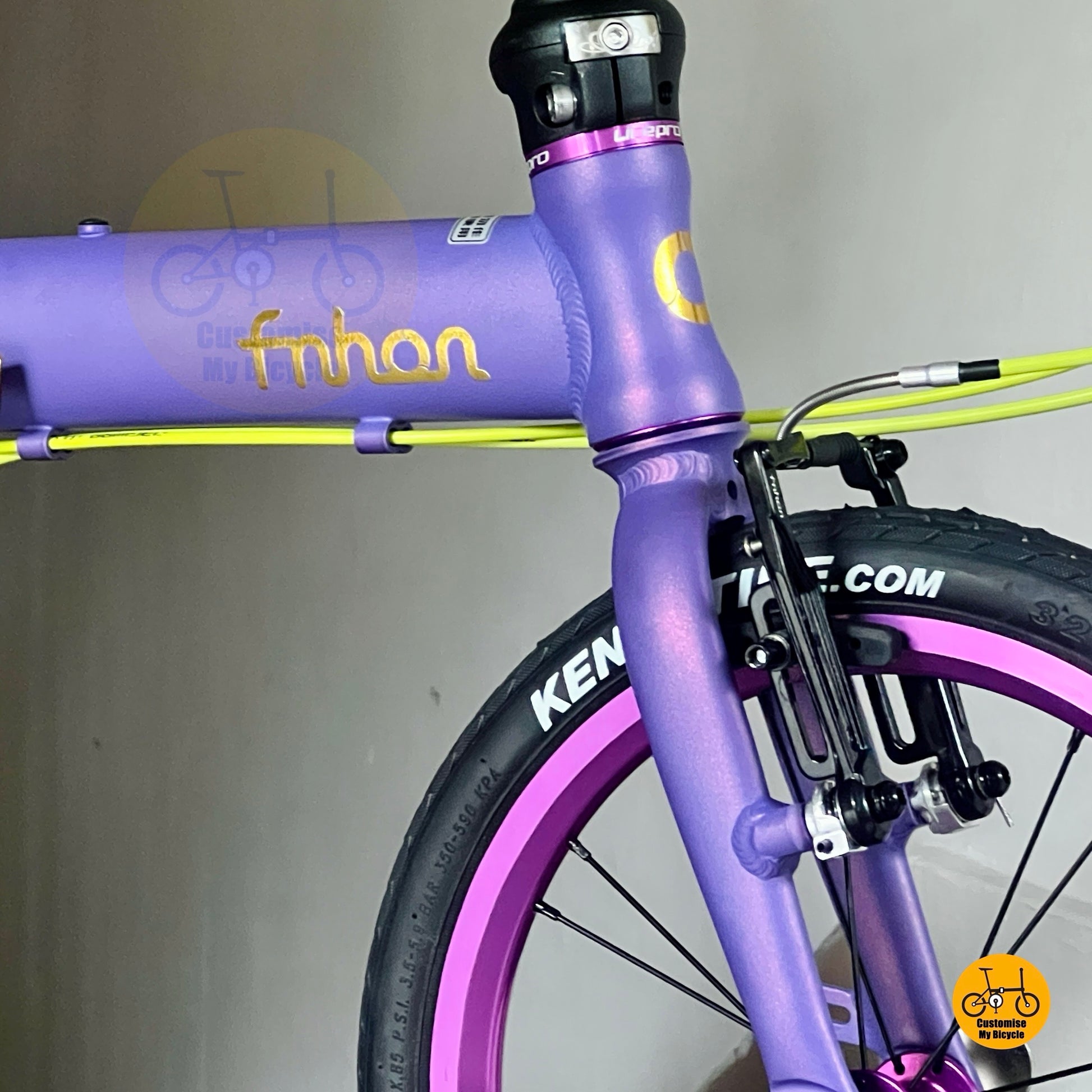 Fnhon Breeze 16 inch folding bike with Evangelion purple frame