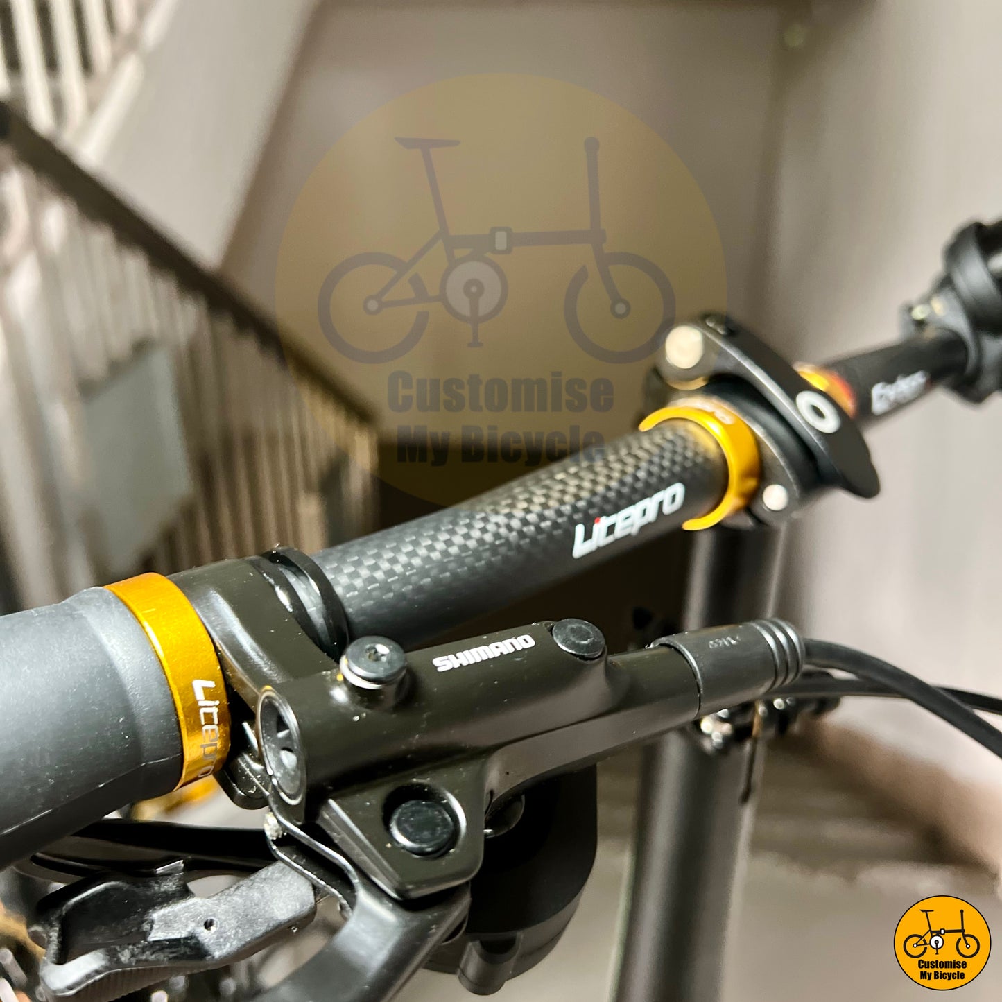 Fnhon Gust 18β β’ Shimano 9s β’ Black Gold