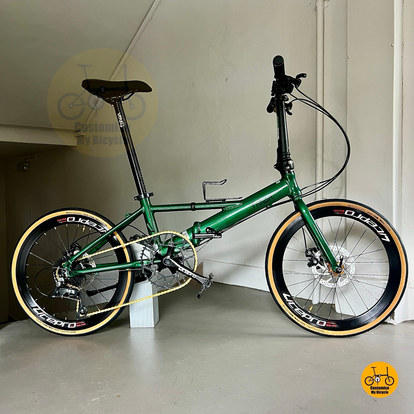 Fnhon Monsoon 22” foldable bicycle with Shimano 9 gears Litepro wheels Emerald Green frame