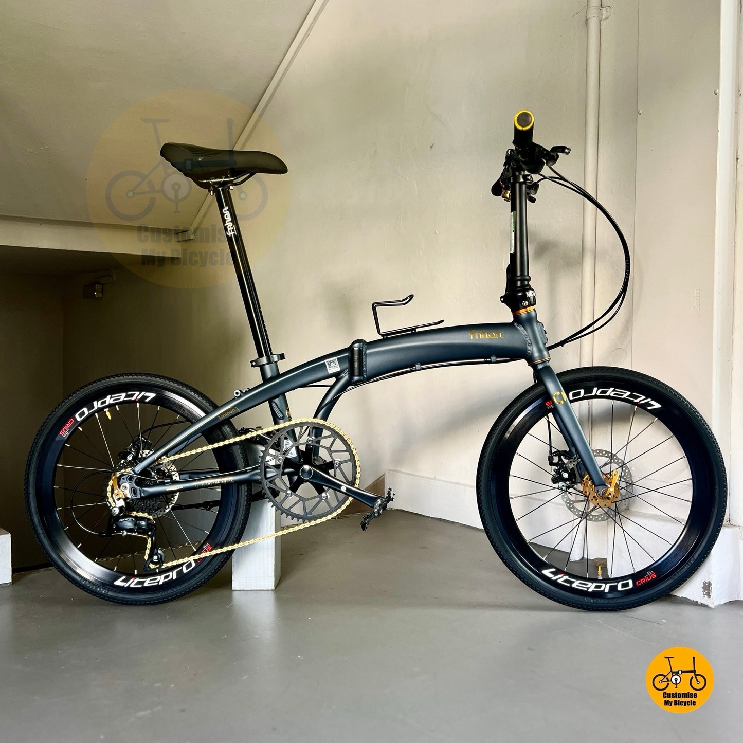 Custom Dark Teal Blue & Gold Folding Bike For PCN Roads