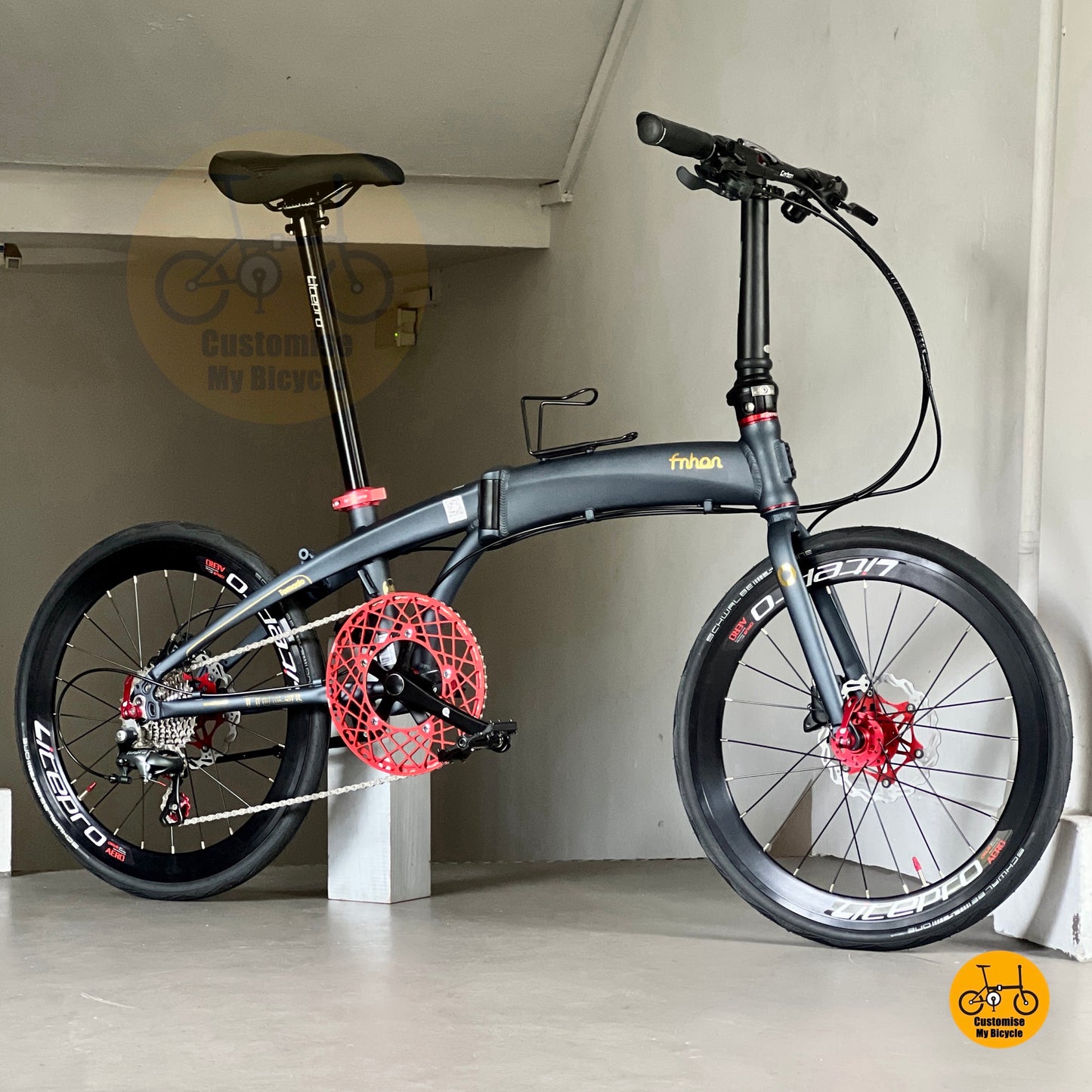 22 inch aero wheels with SCHWALBE tyres on Fnhon Tornado