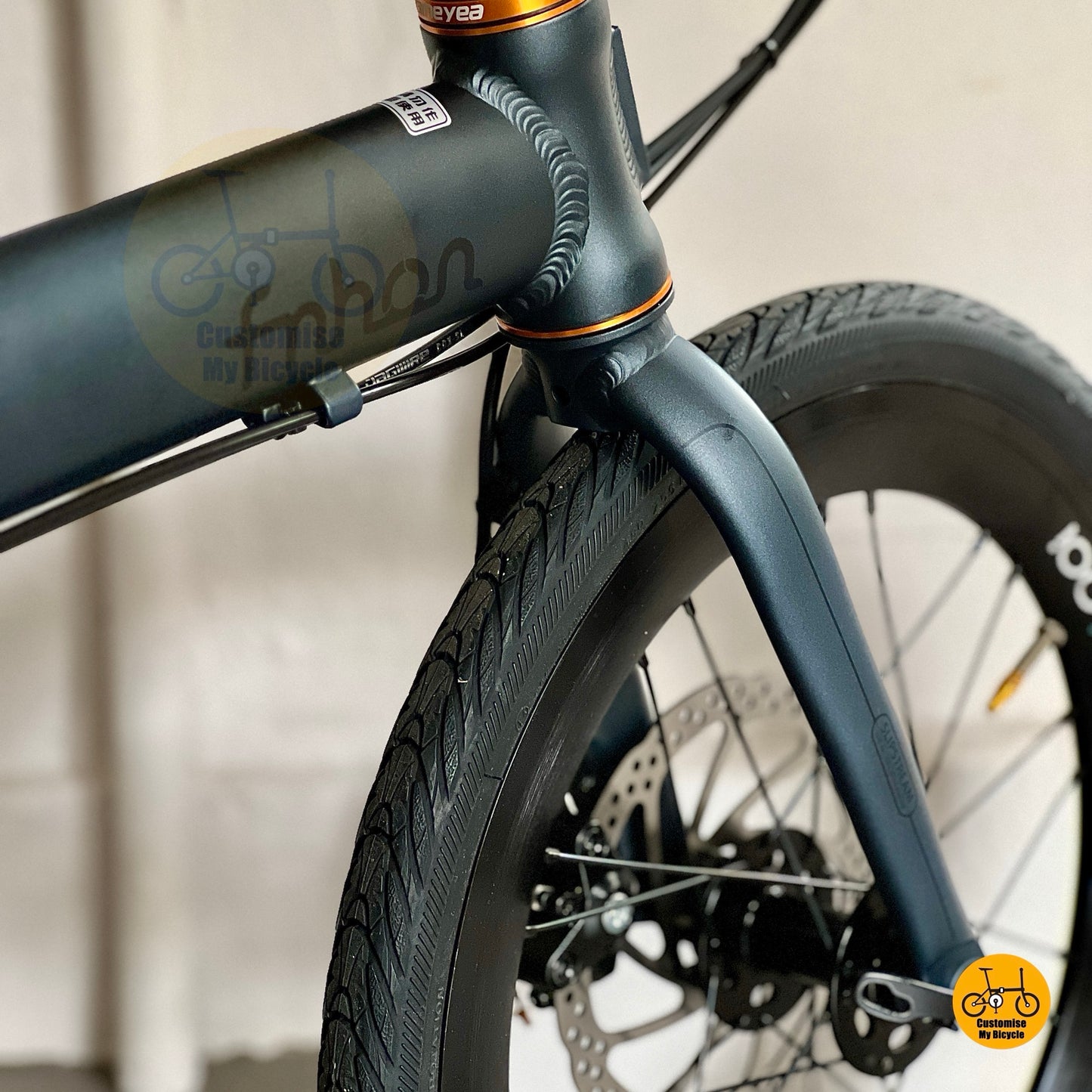 Fnhon foldable bicycle in unique new matte colour